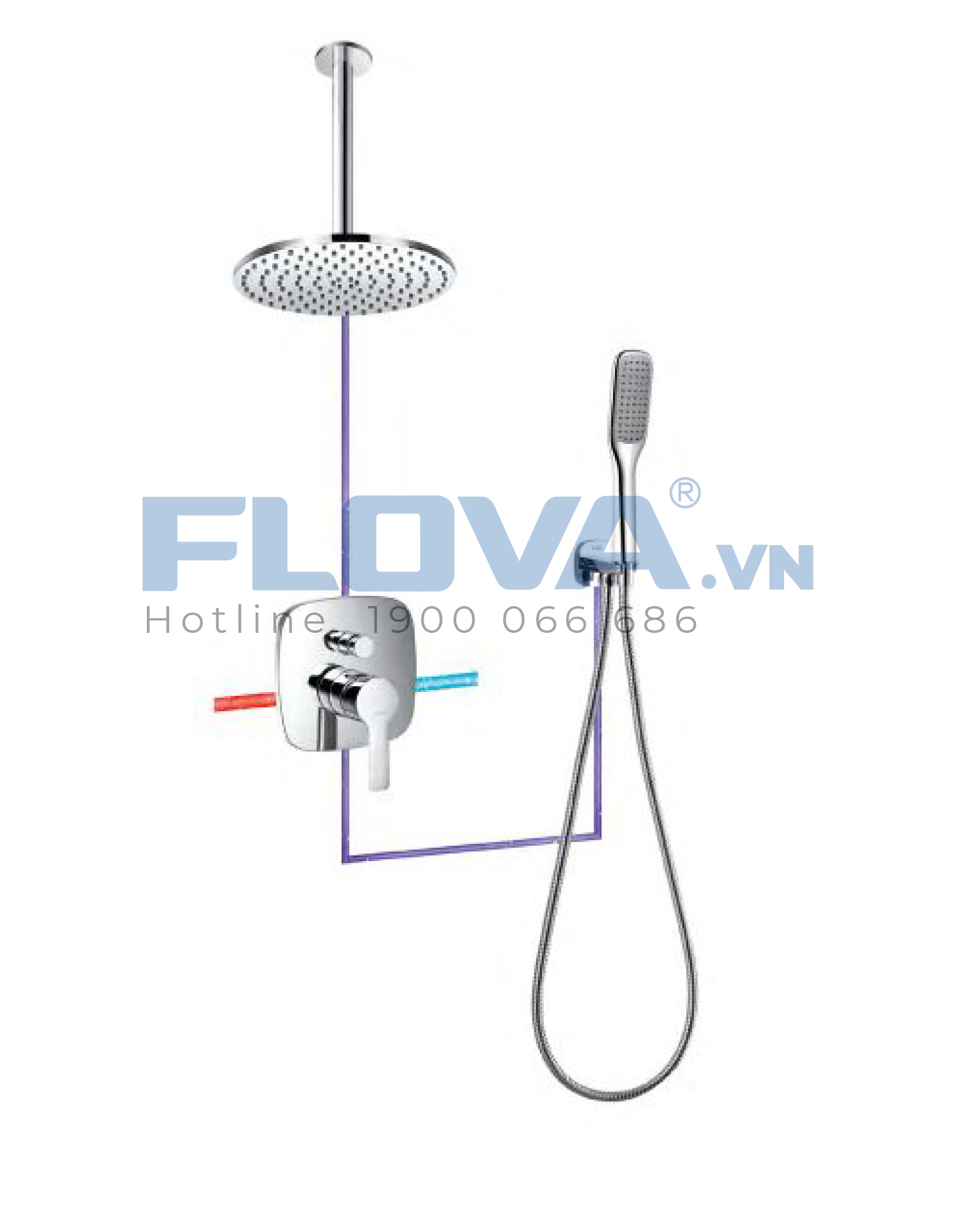 Sen âm trần - FH 8331-D81 Sen âm trần - FH 8331-D81